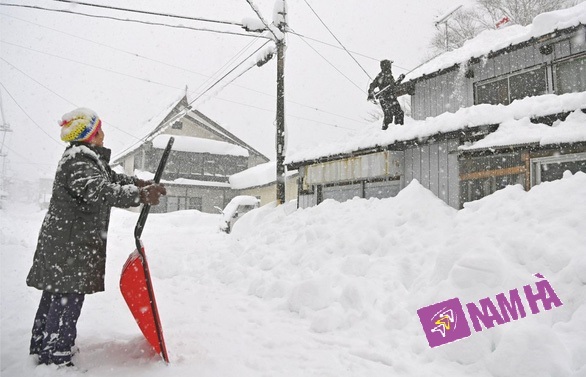Người dân dọn tuyết trên mái nhà ở Minakami, tỉnh Gunma hôm 16-12 - Ảnh: KYODO