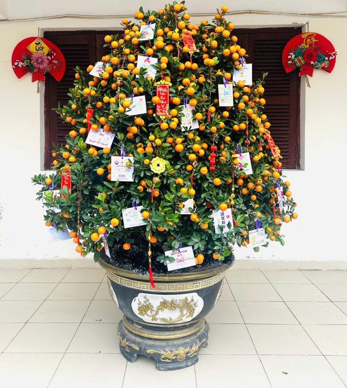 Công ty cổ phần Nhân lực Nam Hà